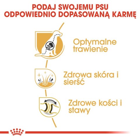 ROYAL CANIN BHN German Sh Ad - sucha karma dla psa dorosłego - 11 kg