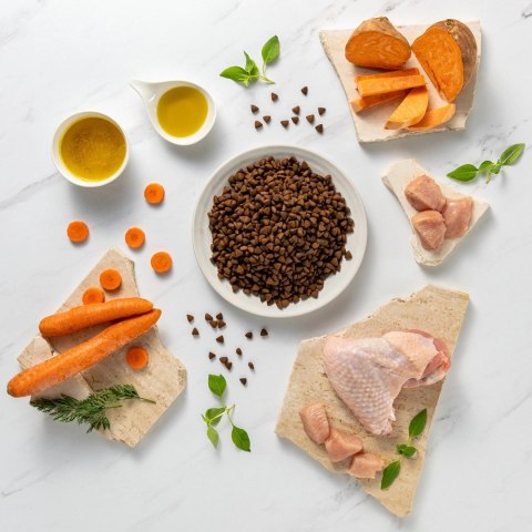 VetExpert Raw Paleo Ultra Indyk Mini Adult 2kg VetExpert Raw Paleo Ultra Indyk Mini Adult 2kg