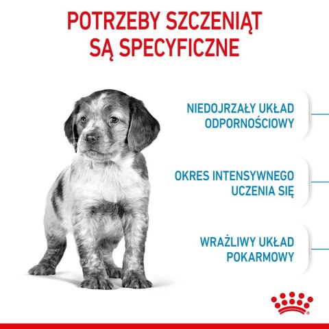 ROYAL CANIN SHN Medium Puppy - sucha karma dla szczeniąt - 15 kg