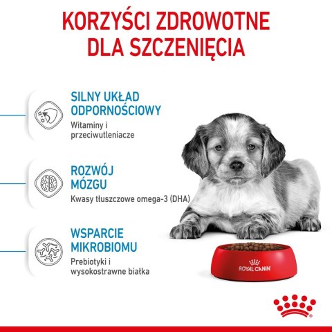 ROYAL CANIN SHN Medium Puppy - sucha karma dla szczeniąt - 15 kg