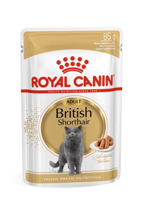 ROYAL CANIN FBN British Shorthair Adult - mokra karma dla dorosłego kota - 12x85g