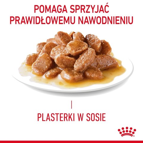 ROYAL CANIN FCN Appetite Control w sosie - mokra karma dla kota dorosłego - 12x85g