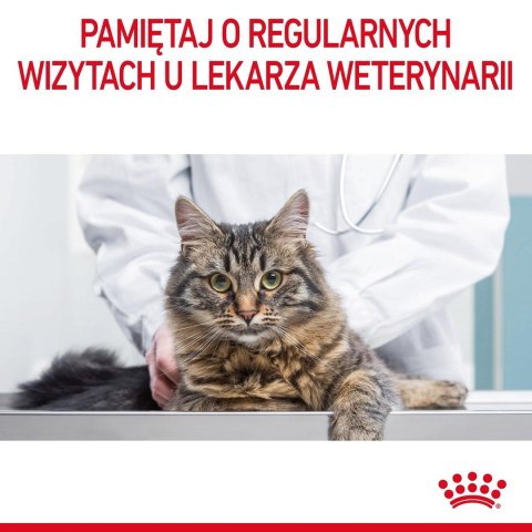 ROYAL CANIN FCN Appetite Control w sosie - mokra karma dla kota dorosłego - 12x85g