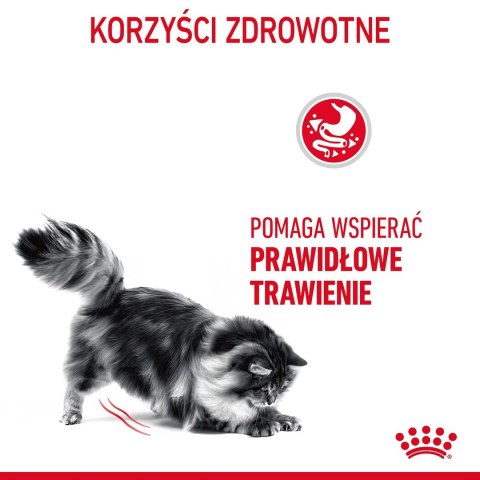 ROYAL CANIN FCN Digestive Care - sucha karma dla kota dorosłego - 4 kg