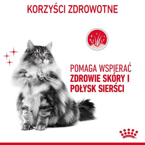 ROYAL CANIN FCN Hair&Skin Care - sucha karma dla kota dorosłego - 10 kg