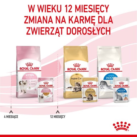 ROYAL CANIN FHN Kitten Instinctive in Jelly - mokra karma dla kociąt - 12x85g