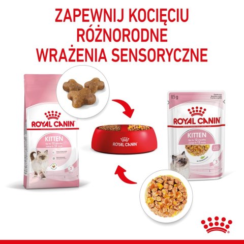 ROYAL CANIN FHN Kitten Instinctive in Jelly - mokra karma dla kociąt - 12x85g