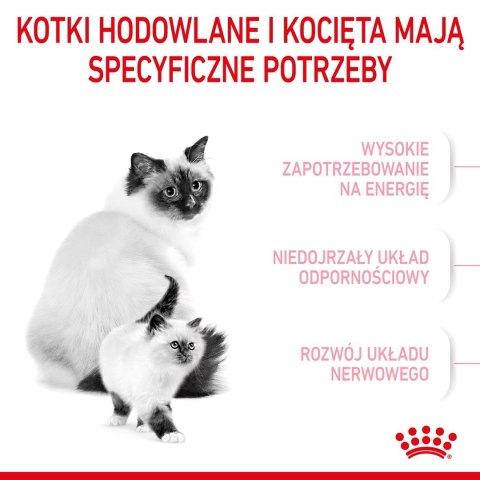 ROYAL CANIN Mother & Babycat 34 0,4kg