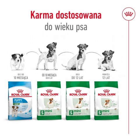 ROYAL CANIN SHN Mini Adult 8+ - sucha karma dla psa dorosłego - 8kg