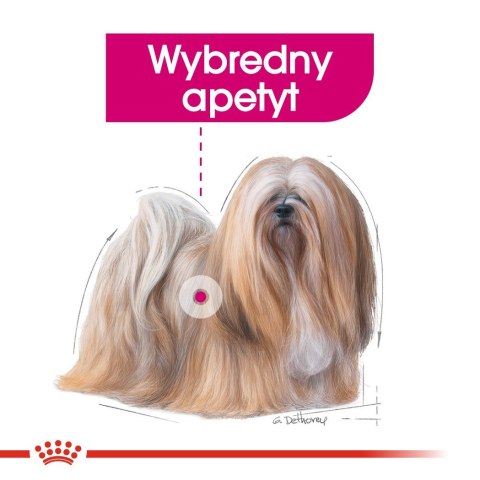 ROYAL CANIN Mini Exigent - sucha karma dla psów wybrednych - 1 kg