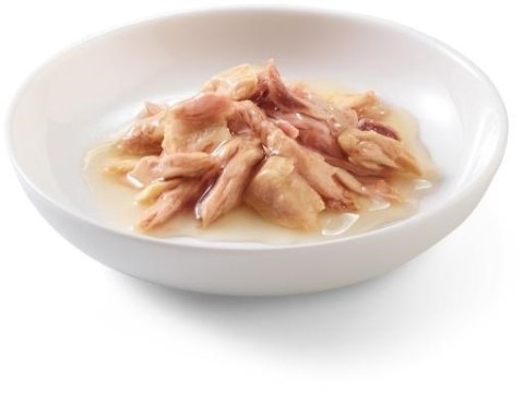 SCHESIR Adult IN SAUCE Tuńczykiem z łososiem w sosie 70g SCHESIR Adult IN SAUCE Tuńczykiem z łososiem w sosie 70g