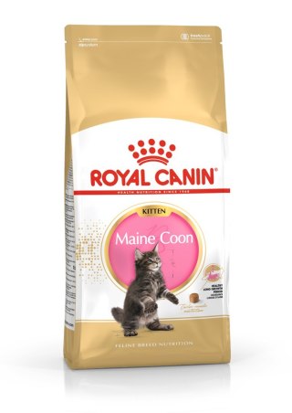 ROYAL CANIN FBN Maine Coon Kitten - sucha karma dla kociąt - 2kg