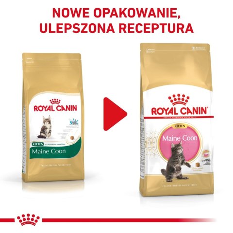 ROYAL CANIN FBN Maine Coon Kitten - sucha karma dla kociąt - 2kg