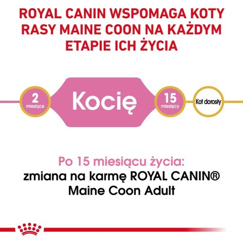 ROYAL CANIN FBN Maine Coon Kitten - sucha karma dla kociąt - 4kg