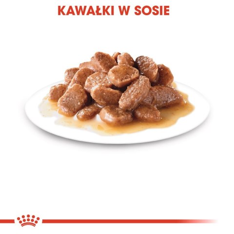 ROYAL CANIN FHN Instinctive w sosie - mokra karma dorosłych kotów - 12x 85 g