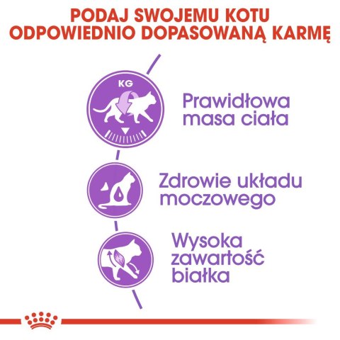 ROYAL CANIN FHN Regular Sterilised 37 - sucha karma dla kota dorosłego - 4 kg