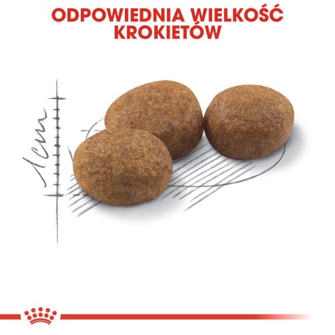 ROYAL CANIN FHN Regular Sterilised 37 - sucha karma dla kota dorosłego - 400 g