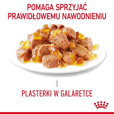 ROYAL CANIN FCN Light Weight Care w galaretce - mokra karma dla kota dorosłego - 12x85g