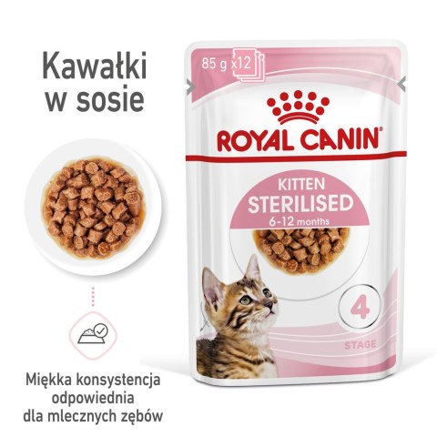 ROYAL CANIN FHN Kitten Sterilised w sosie - mokra karma dla kociąt - 12x85 g