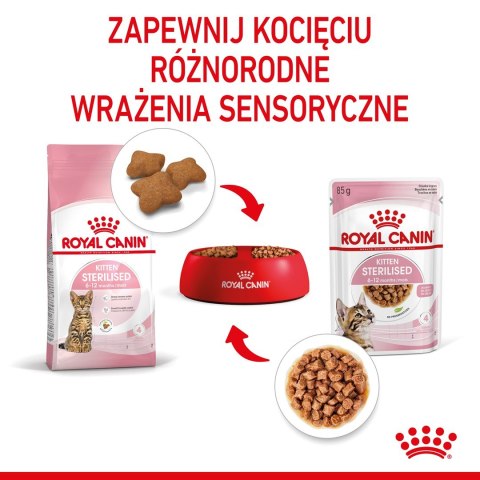 ROYAL CANIN FHN Kitten Sterilised w sosie - mokra karma dla kociąt - 12x85 g