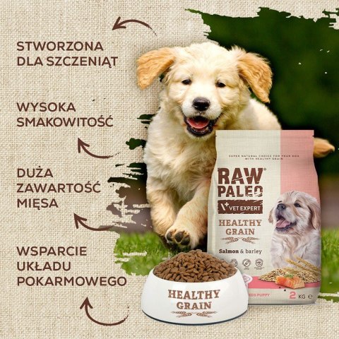 VetExpert Raw Paleo Healthy Grain Salmon&Barley Puppy - Karma sucha dla psów - 2kg VetExpert Raw Paleo Healthy Grain Salmon&Barley Puppy - Karma sucha dla psów - 2kg
