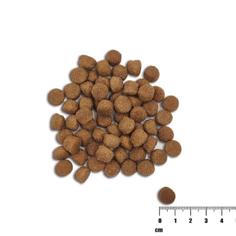 VetExpert Raw Paleo Healthy Grain Salmon&Barley Puppy - Karma sucha dla psów - 2kg VetExpert Raw Paleo Healthy Grain Salmon&Barley Puppy - Karma sucha dla psów - 2kg