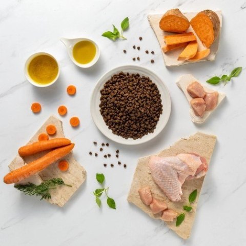 VetExpert Raw Paleo Ultra Indyk Mini Puppy 2kg VetExpert Raw Paleo Ultra Indyk Mini Puppy 2kg
