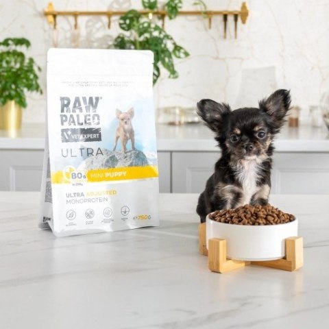 VetExpert Raw Paleo Ultra Indyk Mini Puppy 2kg VetExpert Raw Paleo Ultra Indyk Mini Puppy 2kg