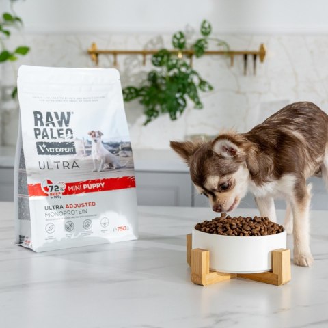 VetExpert Raw Paleo Ultra Wołowina Mini Puppy 2kg VetExpert Raw Paleo Ultra Wołowina Mini Puppy 2kg