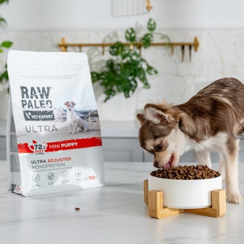 VetExpert Raw Paleo Ultra Wołowina Mini Puppy 2kg VetExpert Raw Paleo Ultra Wołowina Mini Puppy 2kg