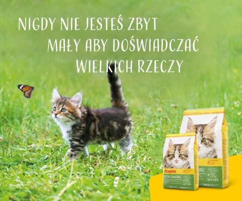 JOSERA Kitten grainfree - sucha karma dla kota - 400g JOSERA Kitten grainfree - sucha karma dla kota - 400g