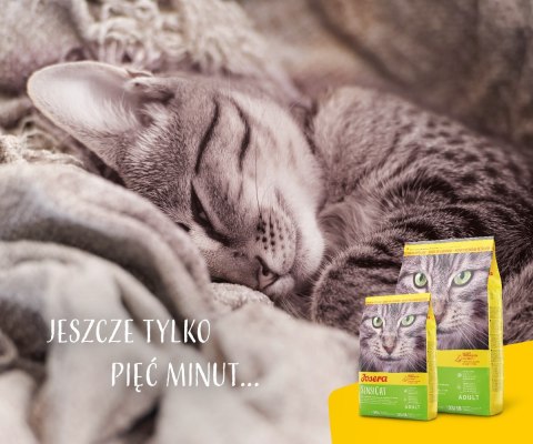 JOSERA SensiCat - sucha karma dla kota 10 kg JOSERA SensiCat - sucha karma dla kota 10 kg