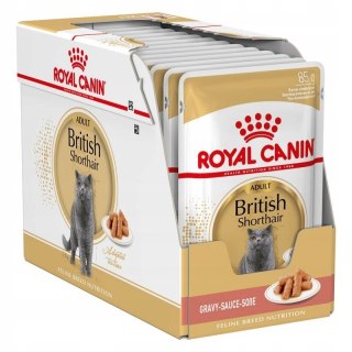 ROYAL CANIN British Shorthair pakiet 12x85g