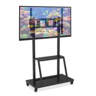 TECHLY STOJAK MOBILNY TV LED/LCD/PDP 55-100 CALI 150KG Z PÓŁKĄ ICA-TR30