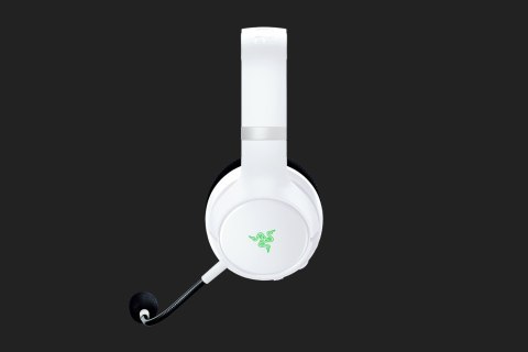 Razer Kaira Pro Headset