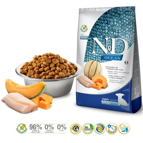 FARMINA N&D Ocean Dog Cod, Pumpkin & Cantaloupe Melon Puppy Mini - sucha karma dla psa - 800g FARMINA N&D Ocean Dog Cod, Pumpkin & Cantaloupe Melon Puppy Mini - sucha karma dla psa - 800g