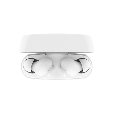 BELKIN BEZPRZEWODOWE SOUNDFORM RHYTHM BT DOUSZNE BIAŁE BELKIN BEZPRZEWODOWE SOUNDFORM RHYTHM BT DOUSZNE BIAŁE