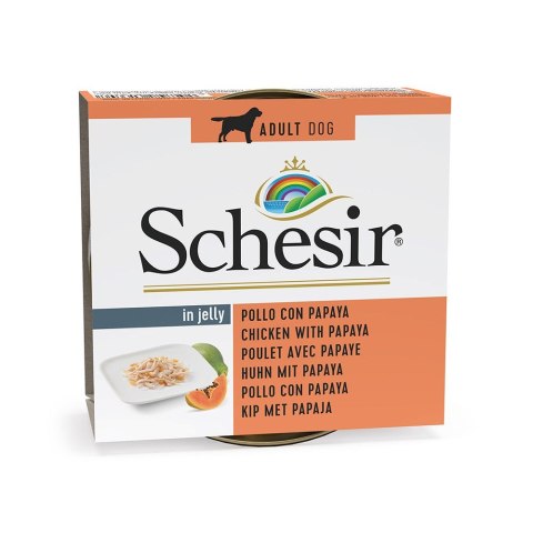 SCHESIR Adult FRUIT Filety z kurczaka z papają 150g SCHESIR Adult FRUIT Filety z kurczaka z papają 150g