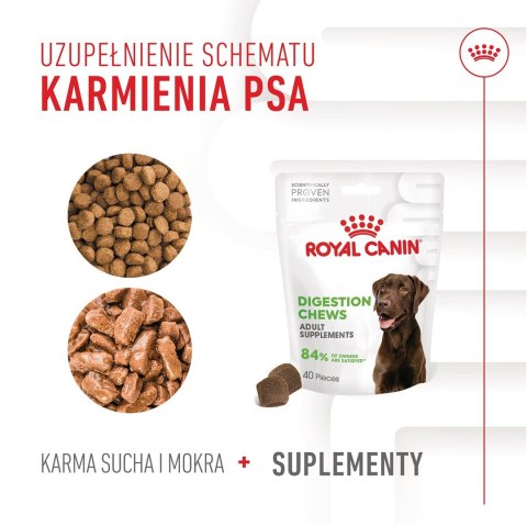 ROYAL CANIN Digestion Adult Dog Supplements 160g