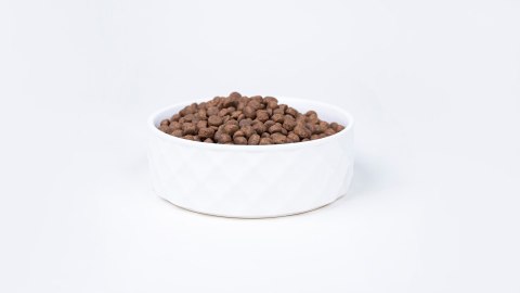 BULT indyk sucha karma dla dorosłych psów 12kg BULT indyk sucha karma dla dorosłych psów 12kg