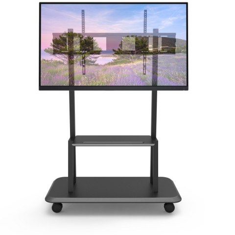 TECHLY STOJAK MOBILNY TV LED/LCD/PDP 55-120 CALI 1 TECHLY STOJAK MOBILNY TV LED/LCD/PDP 55-120 CALI 1