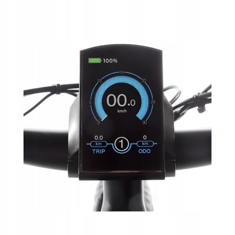 MIEJSKI ROWER ELEKTRYCZNY JOBOBIKE ROBIN FATBIKE 48V KOŁO 26 250W 7 BIEGÓW