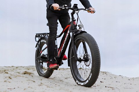 MIEJSKI ROWER ELEKTRYCZNY JOBOBIKE ROBIN FATBIKE 48V KOŁO 26 250W 7 BIEGÓW