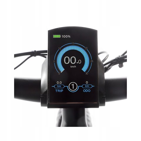 MIEJSKI ROWER ELEKTRYCZNY JOBOBIKE ROBIN FATBIKE 48V KOŁO 26 250W 7 BIEGÓW