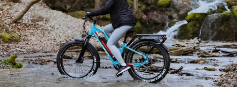 MIEJSKI ROWER ELEKTRYCZNY JOBOBIKE ROBIN FATBIKE 48V KOŁO 26 250W 7 BIEGÓW
