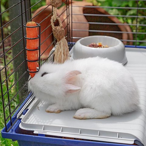 RABBIT 120 (x1) - klatka dla królików (WYPRZEDAŻ)