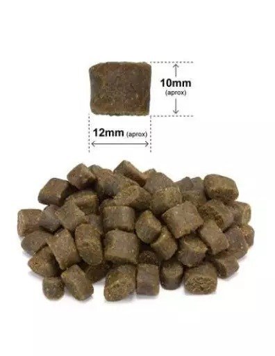 ARQUIVET FRESH - półwilgotna karma dla psa - łosoś z indykiem - 10kg (WYPRZEDAŻ)