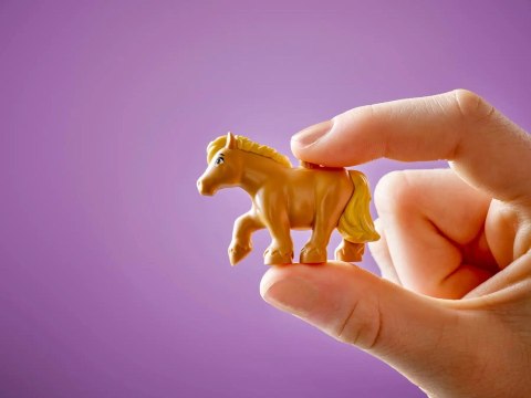 LEGO FRIENDS 42654 PONY RANCH & STABLE LEGO FRIENDS 42654 PONY RANCH & STABLE
