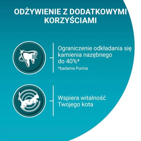 PURINA One Bifensis Adult Bogata w Kurczaka i Pełne Ziarna - sucha karma dla kota - 800 g PURINA One Bifensis Adult Bogata w Kurczaka i Pełne Ziarna - sucha karma dla kota - 800 g