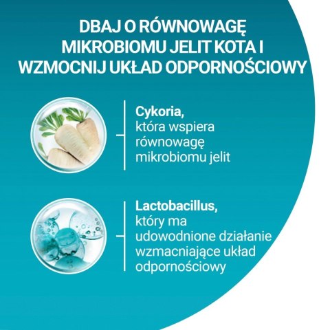 PURINA One Bifensis Adult Bogata w Kurczaka i Pełne Ziarna - sucha karma dla kota - 800 g PURINA One Bifensis Adult Bogata w Kurczaka i Pełne Ziarna - sucha karma dla kota - 800 g